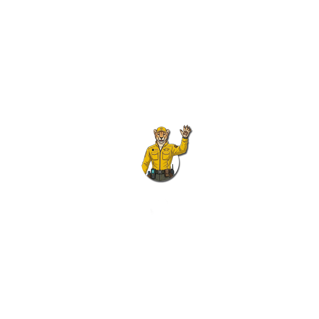 OneShip Assistant